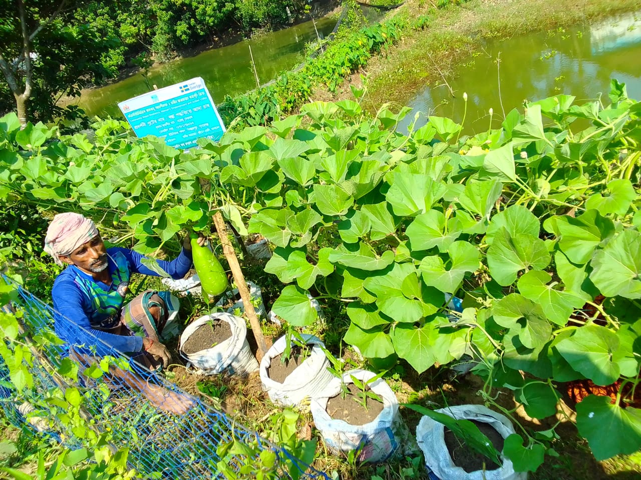 Life has Changed of Norendra Debnath by Demonstration plot